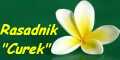 Rasadnik Curek