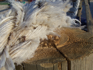100_6739.jpg