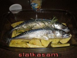 p2280043druga faza2.jpg